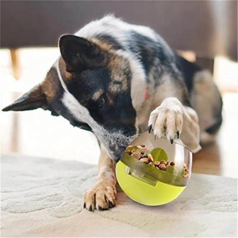 Interactive Pet Treat Ball Food Dispenser
