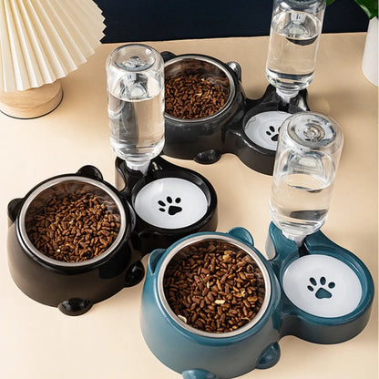 Automatic Pet Feeder and Water Dispenser