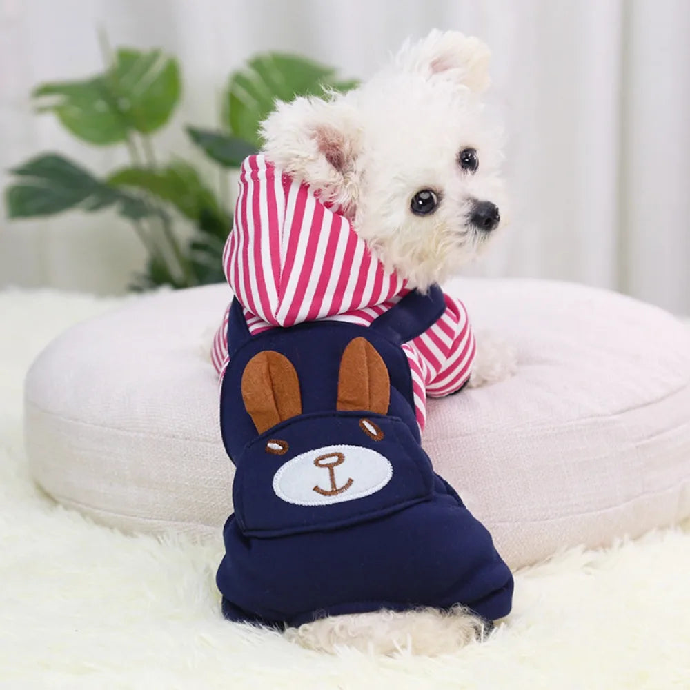 Striped Dog Hoodie Winter Outfit